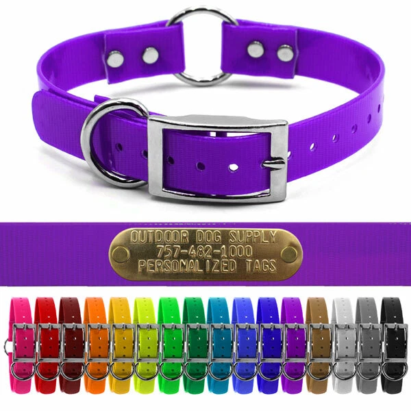 Hunting Dog Name Collar Strap 1 Ring in Center u0026 D Ring w/ Free Brass ID  Plate | eBay