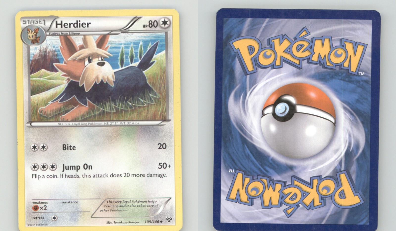 HERDIER 109/146 UNCOMMON XY POKEMON LIGHTLY PLAYED