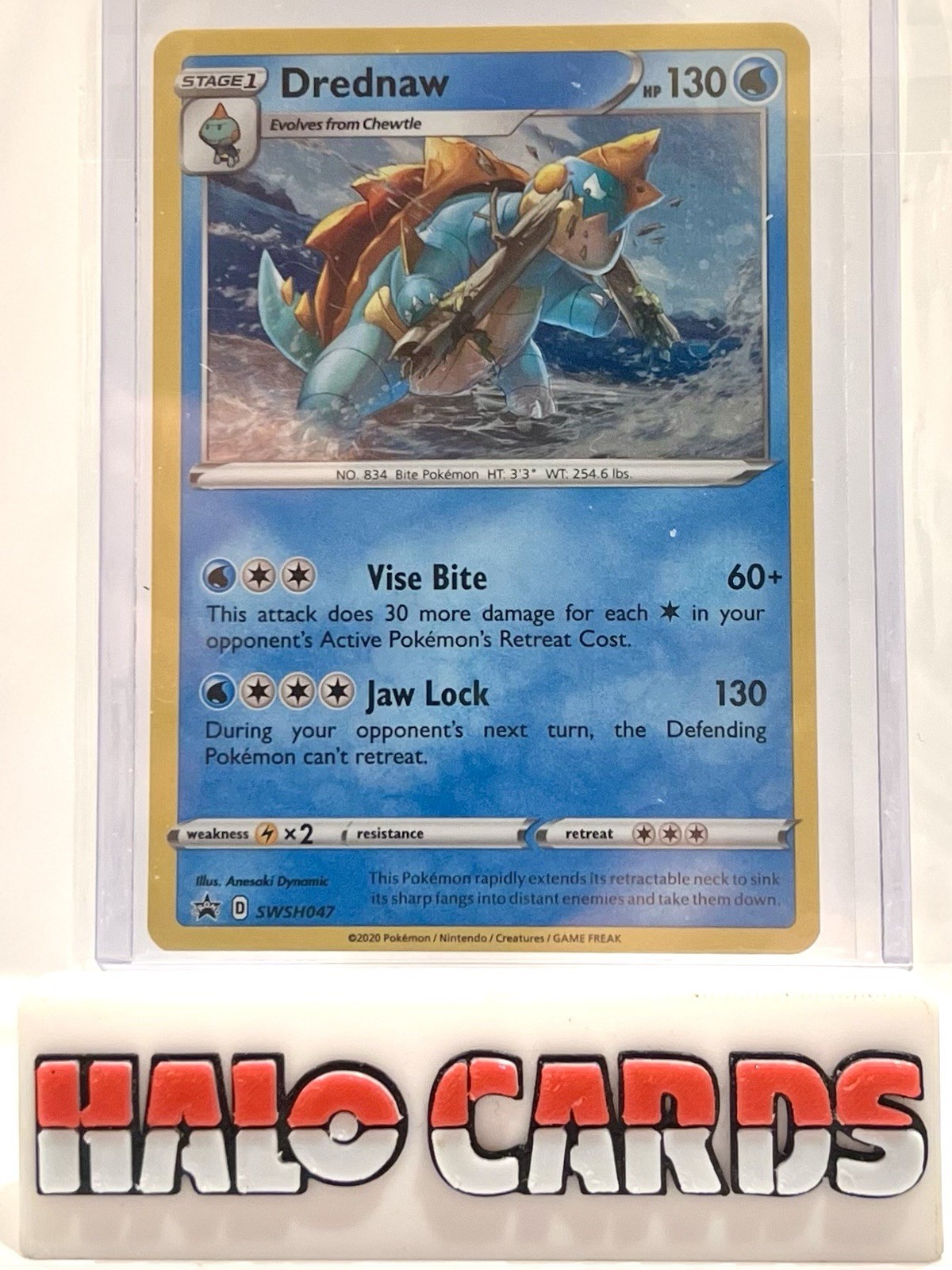 PACK FRESH Pokémon TCG Drednaw Black Star Promo SWSH047 Holo MINT Q