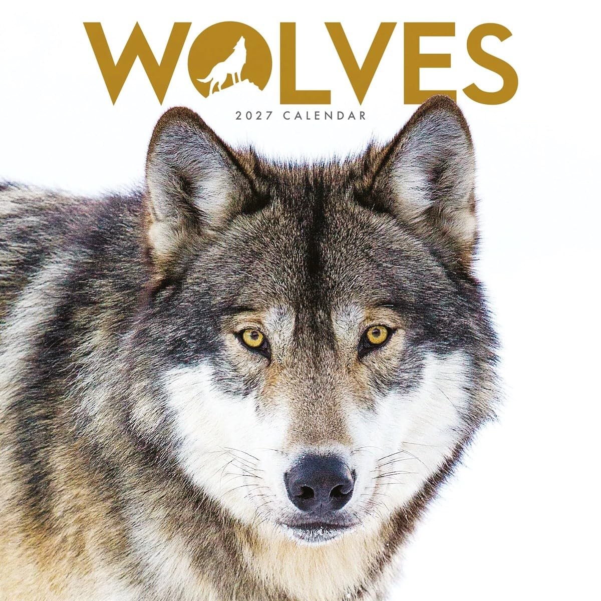 Wolves Mini Calendar 2027, Wall Calendars, Month To View, Animals, Gift - Image 3
