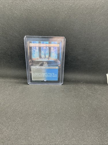 Hallowed Fountain (Borderless) #277 *Foil* (NM) Ravnica: Clue Edition (CLU) MTG
