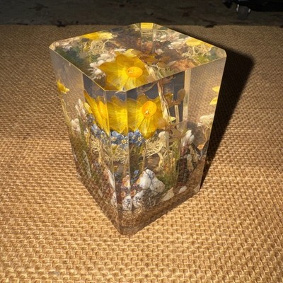Vtg W ROLFE Lucite Acrylic Paperweight RARE Acorn Dried Flowers Signed (Aa)