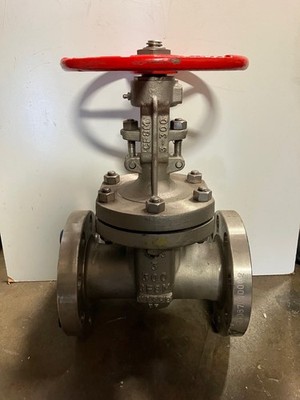 3'' 300# Gate valve bobs&y 316ss Warren 1306WA-10