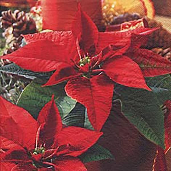 Бумажная салфетка JET 33x33 см 20 штук Estrella de Navidad Weihnachtsstern 2090₽