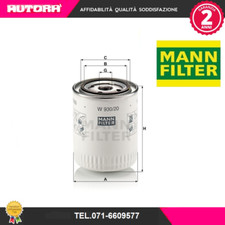 W93020 Oil Filter (BRAND-MANN FILTER)