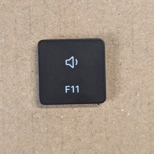 F11 Key 2022 onwards