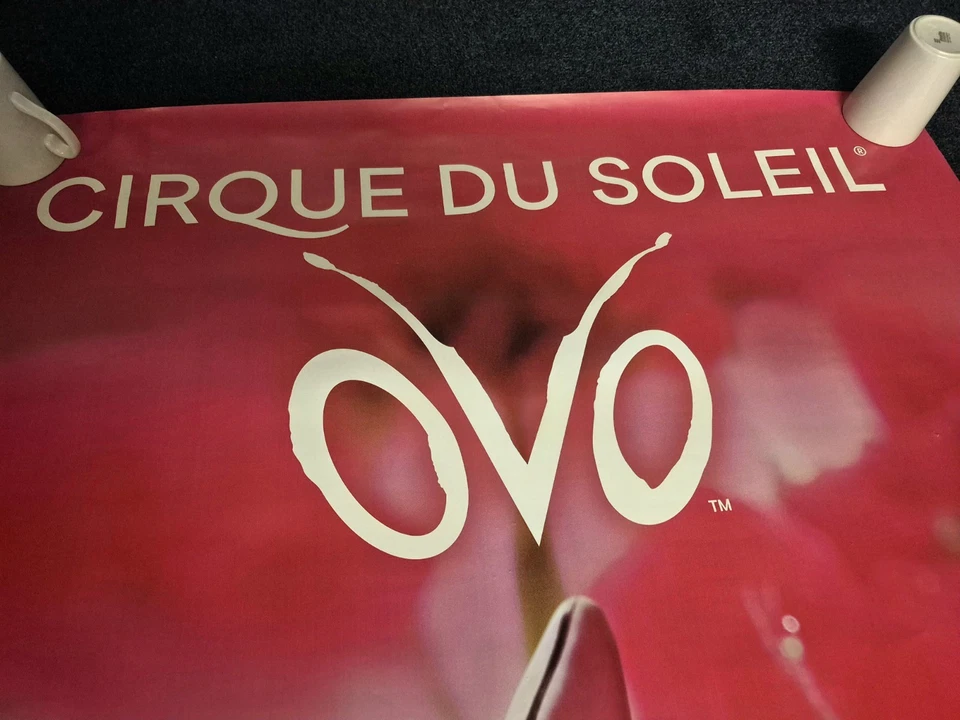 Cirque du Soleil OVO – Royal Albert Hall London 2026 – Official 40″×60″ Poster - Image 4 of 4
