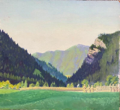 ÖLGEMÄLDE BLICK AUF TAL MIT GEBIRGSLANDSCHAFT KIEFERNWÄLDER UND HAFERFELD - Bild 1 von 4