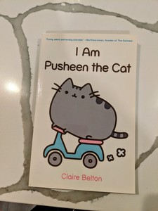 pusheen gingerbread plush