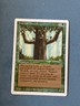 Ironroot Treefolk, Revised Edition, Magic the Gathering MTG