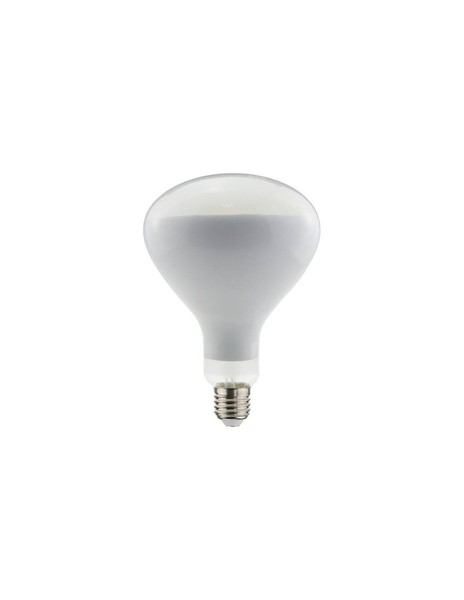 LED Lampe Shot WLD500952 R80 E27 10W 2700K Satin 900Lm 110° 220-240V-image