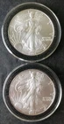 Two 2005 $1 American Silver Eagle Dollars in Capsules
