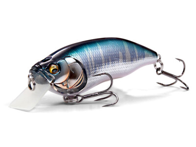 NEU Megabass IXI Furious 1.5 6.4cm 1/4oz Floating Köder Wobbler FARBEN