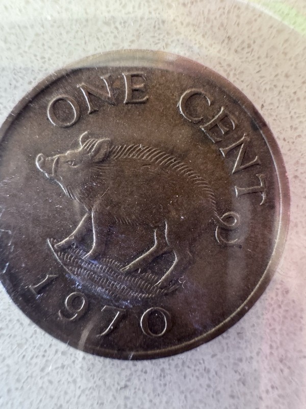 1970 Bermuda 1 One Cent - Circulated Bronze World Coin - Queen Elizabeth II
