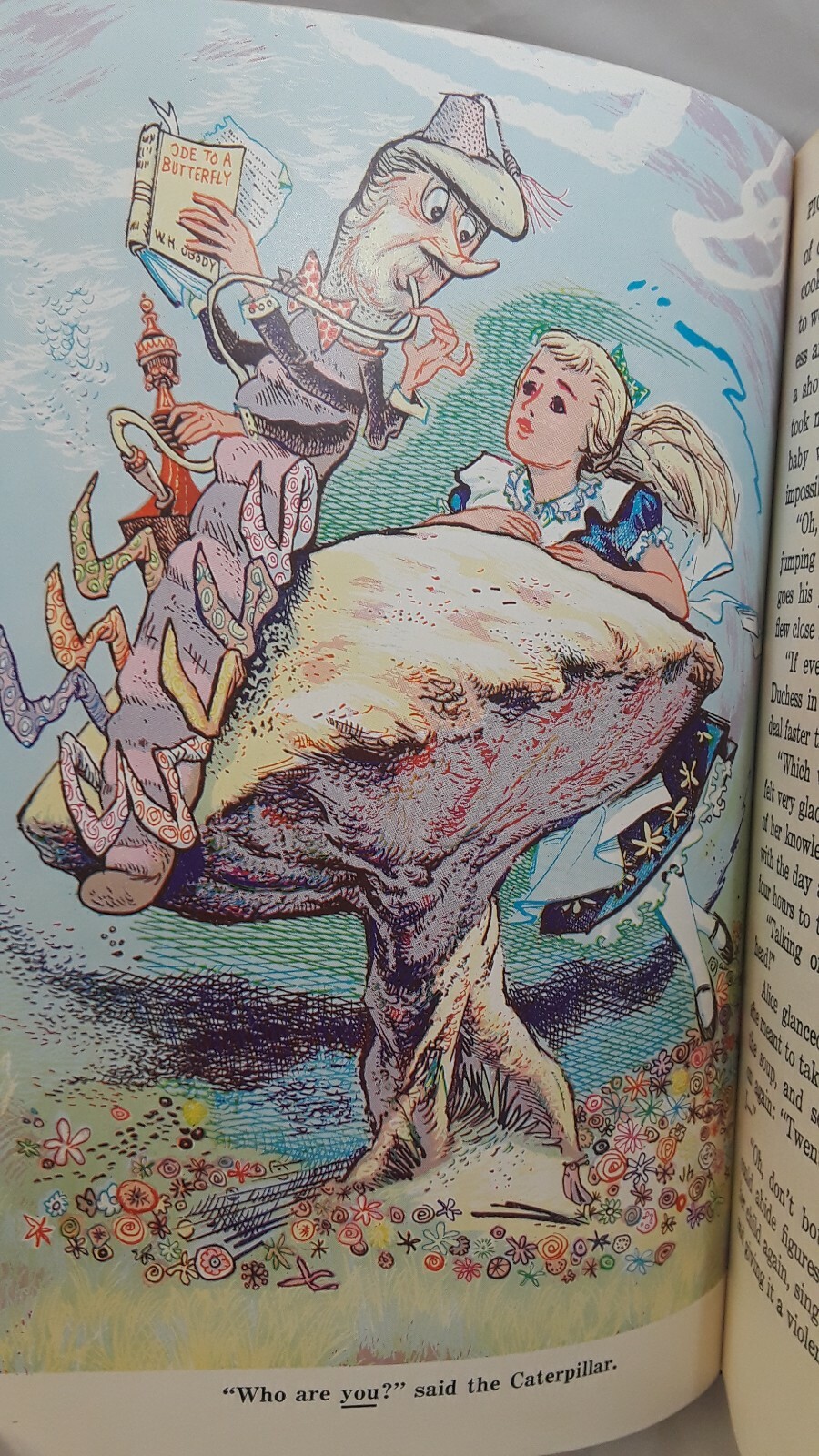 Picture 6 of 12