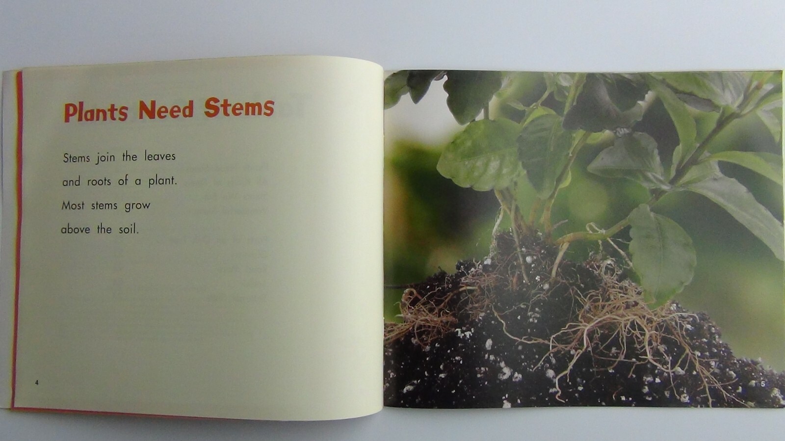 Pebbles Plus Books STEMS by Vijaya Khisty Bodach 2007 Paperback FREE