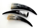 1 Factory Seconds Cow Horn 15-50 cm Cow Horns Cattle Horns Bull Horns Polished Decoration