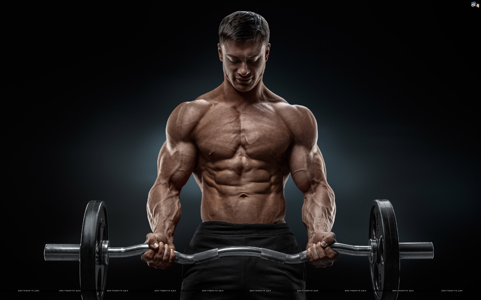 Muscle-building performance - TRIBULUS TERRESTRIS - Natural energy supplement 3B