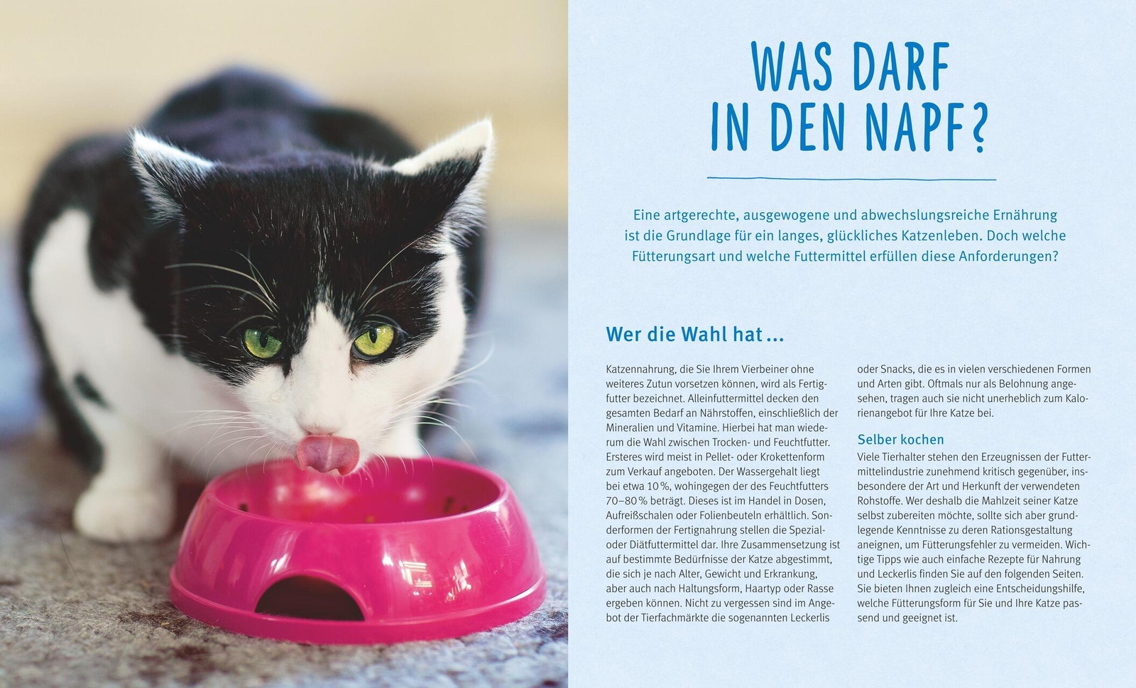 Thumbnail - Michael Streicher Katzen Gesund Ernähren