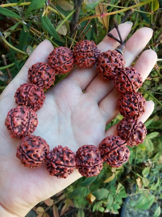 Indian Mysore lobular rosewood round bead bracelet Buddhist prayer beads  #398 | eBay