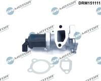 Dr.Motor Automotive Agr-Ventil FüR Suzuki Swift III MZ EZ 1.3 Ddis FZ NZ EX