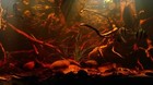Bild 9 von 10