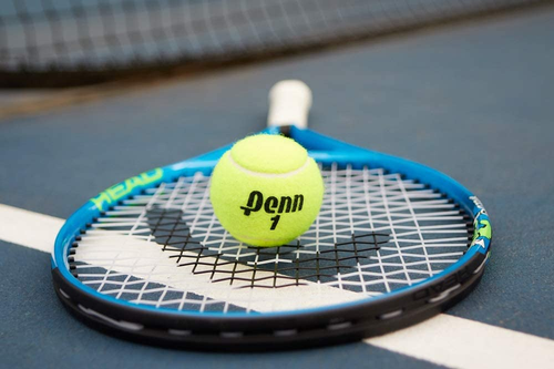Pelotas de tenis de campeonato - Pelotas de tenis presurizadas de fieltro extra resistente - Imagen 8 de 11
