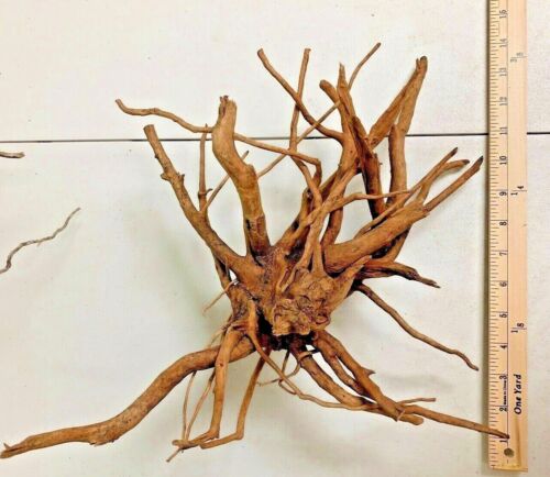 Large Spider Wood Drift Wood Natural Aquascape Hard scape Aquarium Drift Wood ✅ - Picture 2 of 8