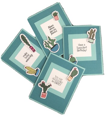 Card Set Of 4 Completed Handmade Hand-Drawn Succulents Cactus Any Occasion