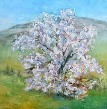 TRUJILLO not jose / Original Oregon Spring Tree blossoms Impasto oil plein air