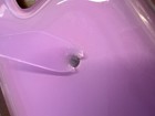 Loopy Case Pink Opal Shell iPhone 15 Pro Righty  — photo 5