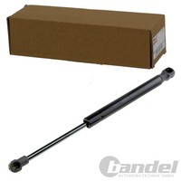 NTY Gasfeder KOFFERRAUM-LIFTER Hinten Passend FüR Fiat Linea | AE-FT-012