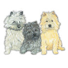 Cairn Terrier Magnet Wooden
