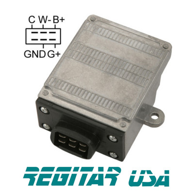 D1989 Ignition Module Regitar USA