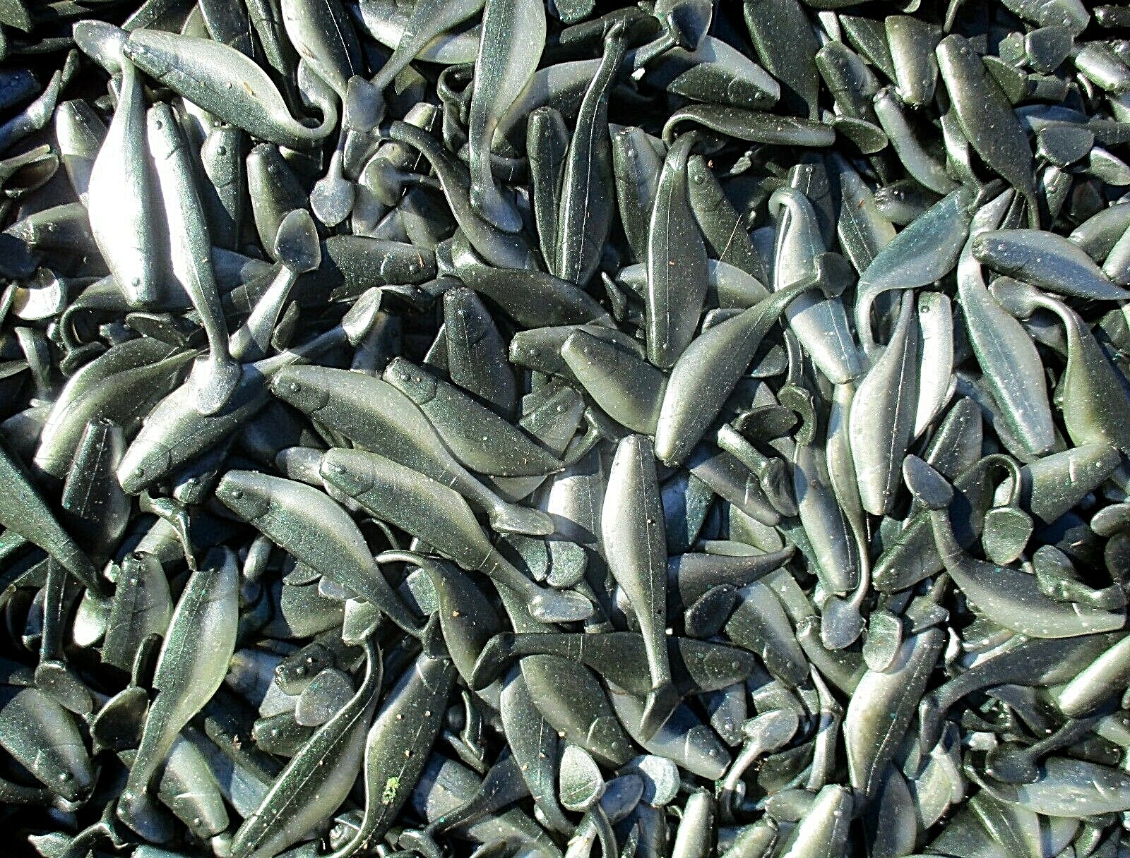 25ct THREADFIN SHAD 3" SASSY SWIMBAITS SHADS Bass Fishing Baits Saltwater Lures - Image 4