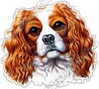 Cavalier King Charles Spaniel Dog Pet Breed Car Bumper Vinyl Sticker Decal 4.6"