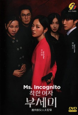 Ms. Incognito Korean Drama TV Series DVD -English Subtitles