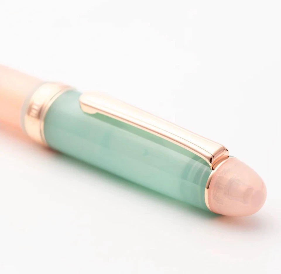 Pluma Estilográfica Platino Hachimonjiya Century Akizakura Cosmos Rosa M Nuevo en Caja 14K Foto 4 de 4