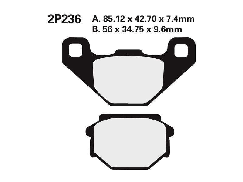 Plaquettes de frein NISSIN 2P-236NS la performance routière durable