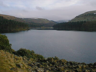Photo 6x4 Ladybower - Windy Corner View Beaver's Croft  c2000