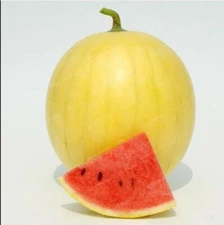 20PCS Gold Skin Watermelon Seeds -Yellow/Royal Golden Skin Watermelon Seeds
