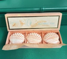 Vintage Box of 3 Pink & White SEASHELL SOAPS By Ben Rickert Bloomingdale’s NIB