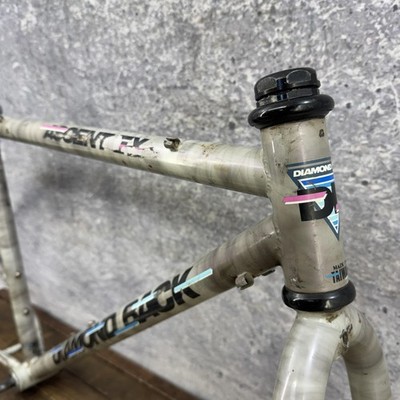 Vintage Diamond Back Ascent EX Frame 18in 90s MTB Cafe CrMo True
