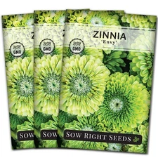 - Zinnia Envy Flower Seeds for Planting - Beautiful Flowers to Plant in Your ...