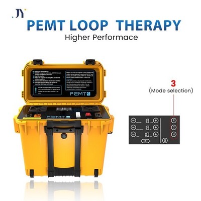 Professional Pemf Physio Magnetic Therapy Pmst Loop Pemf Health Care Device