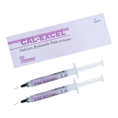 Ammdent Cal-Excel - Calcium Hydroxide Radiopaque Paste 2x2gm