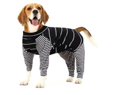 Dog Recovery Suit, Abdominal Wound After Surgery Wear, Prevent Licking Wounds...