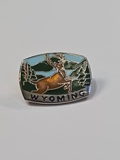 Experience Wyoming Travel Souvenir Lapel Pin