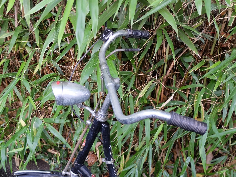 Fahrrad Rarität - Hollandrad "Old Veteran" wahrscheinlich 60er Jahre - Größe 28" - Bild 4 von 4