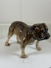 Royal Doulton Dog, HN1042, Bulldog Brindle A/F